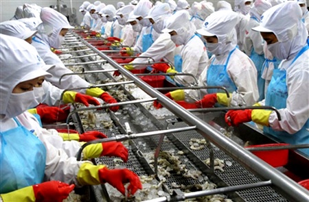 Injustos impuestos antisubsidio de Estados Unidos a camarón de Vietnam